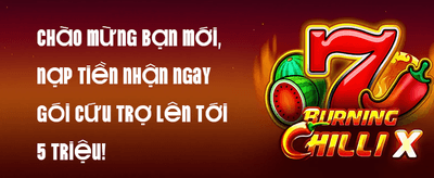 Khuyến Mãi Nạp Lại Hàng Ngày promotion